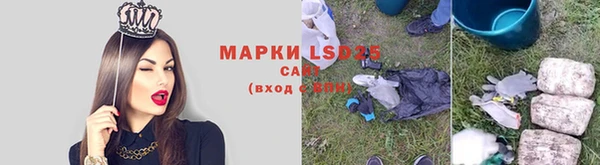 шишки Баксан