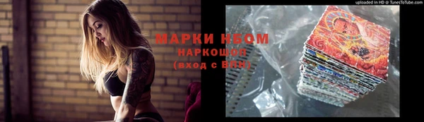 шишки Баксан