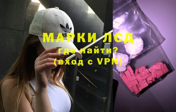 шишки Баксан