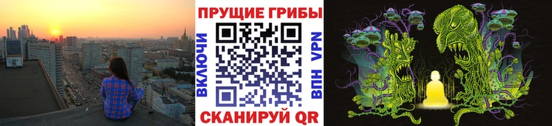 Галлюциногенные грибы мухоморы  мега ONION  Короча  купить наркотики сайты 